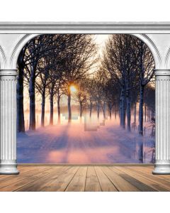 Pillars Snow Light Birch Computer Printed Photography Backdrop ABD-796