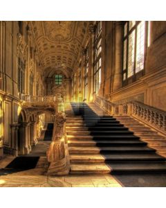 Stairs Palace Stone Computer Printed Photography Backdrop ABD-798