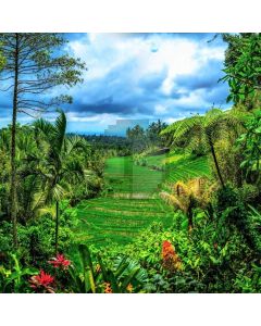 Farmland Tree Grass Computer Printed Photography Backdrop ABD-799