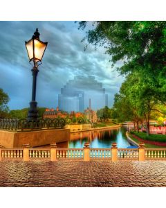 River Light Tree Computer Printed Photography Backdrop ABD-800