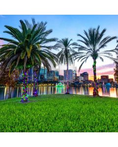 Palm Tree Grassy River Computer Printed Photography Backdrop ABD-803