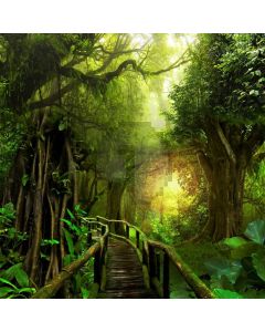 Jungle Bridge Light Computer Printed Photography Backdrop ABD-812
