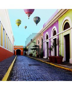 Street Plant Balloon Computer Printed Photography Backdrop ABD-877