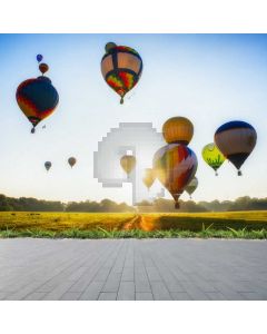 Floor Balloon Grass Computer Printed Photography Backdrop ABD-906