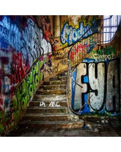 Graffiti Old Stairs Computer Printed Photography Backdrop ABD-932