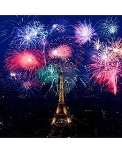 New Year 2020 Computer Printed Photography Backdrop ABD-949