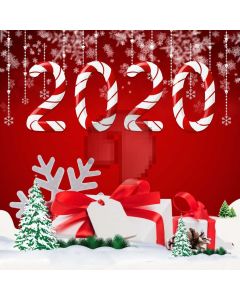 2020 Gifts Fir Tree Snow Computer Printed Photography Backdrop ABD-978