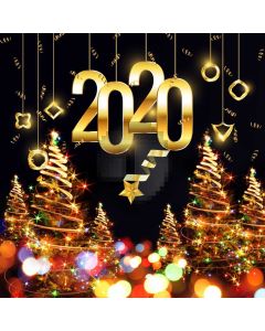 2020 Holly Lightspot Computer Printed Photography Backdrop ABD-979