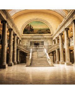 Stone Stairs Painting Computer Printed Photography Backdrop ABD-996