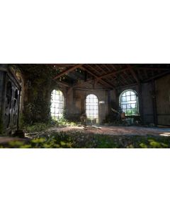 Arch Window Plant Computer Printed Dance Recital Scenic Backdrop ACP-1005