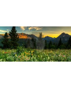 Tree Mountain Grass Flower Computer Printed Dance Recital Scenic Backdrop ACP-1015