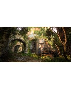 Arch Brick Tree Computer Printed Dance Recital Scenic Backdrop ACP-1022