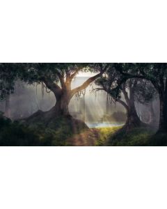 Tree Light River Computer Printed Dance Recital Scenic Backdrop ACP-1062