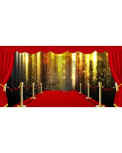 Pillar Gold Light Curtain Computer Printed Dance Recital Scenic Backdrop ACP-1095