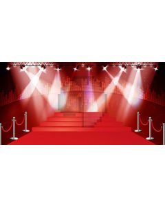 Stage Light Computer Printed Dance Recital Scenic Backdrop ACP-1140