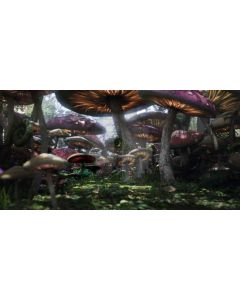 mushroom forest Computer Printed Dance Recital Scenic Backdrop ACP-114