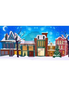 House Store Snow Computer Printed Dance Recital Scenic Backdrop ACP-1254