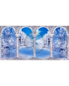 Cypress Arch Snow Computer Printed Dance Recital Scenic Backdrop ACP-1259