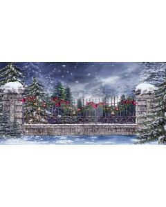 Christmas snow Computer Printed Dance Recital Scenic Backdrop ACP-141