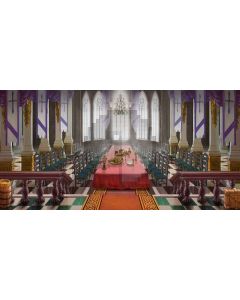 dining-table Computer Printed Dance Recital Scenic Backdrop ACP-238
