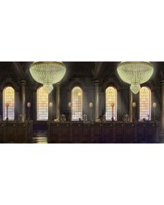 beauty  chandelier Computer Printed Dance Recital Scenic Backdrop ACP-239