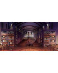Lots of books Computer Printed Dance Recital Scenic Backdrop ACP-290