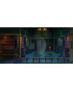 abandon bookshelf Computer Printed Dance Recital Scenic Backdrop ACP-296