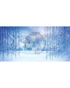 Ice World Computer Printed Dance Recital Scenic Backdrop ACP-400