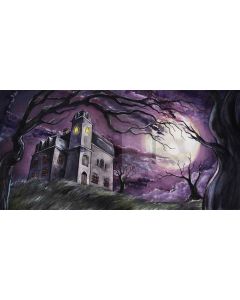 dreadful night Computer Printed Dance Recital Scenic Backdrop ACP-422