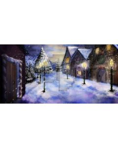 snow night Computer Printed Dance Recital Scenic Backdrop ACP-429