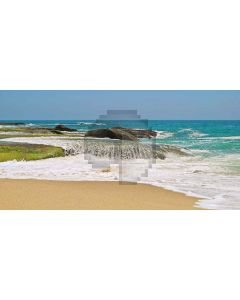 Clean coast Computer Printed Dance Recital Scenic Backdrop ACP-042