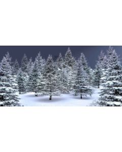 pine tree Computer Printed Dance Recital Scenic Backdrop ACP-457