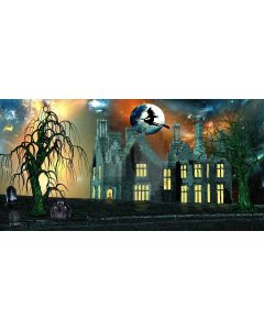 broom boy Computer Printed Dance Recital Scenic Backdrop ACP-462