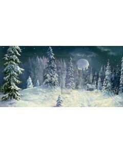 Winter Night Forest Computer Printed Dance Recital Scenic Backdrop ACP-470