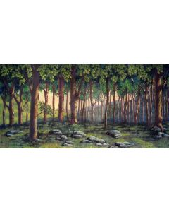 fantasy  forest Computer Printed Dance Recital Scenic Backdrop ACP-481
