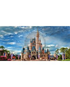 beautiful castle Computer Printed Dance Recital Scenic Backdrop ACP-499