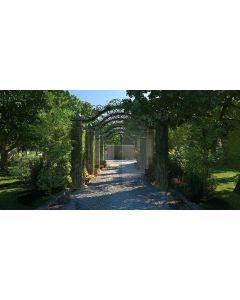 Arch Plant Road Tree Computer Printed Dance Recital Scenic Backdrop ACP-533
