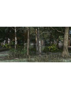 Tree Vigour Computer Printed Dance Recital Scenic Backdrop ACP-540