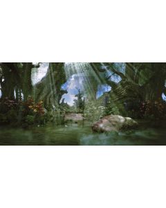 Forest Stone Flower River Computer Printed Dance Recital Scenic Backdrop ACP-558