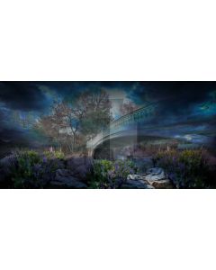 Tree Flower Stone House Computer Printed Dance Recital Scenic Backdrop ACP-580