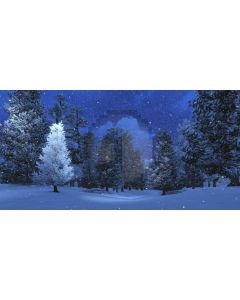 Snow Tree Cloud Computer Printed Dance Recital Scenic Backdrop ACP-589
