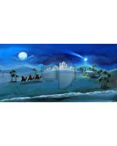 Moon Snow Tree Persons Camel Computer Printed Dance Recital Scenic Backdrop ACP-597