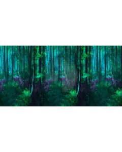 Forest Tree Light Computer Printed Dance Recital Scenic Backdrop ACP-604