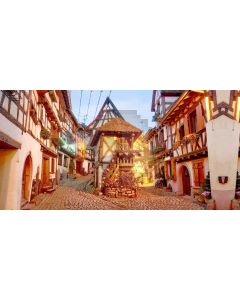 Arch House Brick Road Flowers Sky Computer Printed Dance Recital Scenic Backdrop ACP-631
