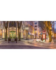 Street Building Tree Board Light Computer Printed Dance Recital Scenic Backdrop ACP-643
