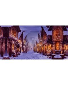 House Snow Light Computer Printed Dance Recital Scenic Backdrop ACP-645
