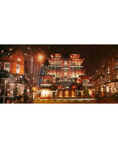 Building Light Arch Plant Computer Printed Dance Recital Scenic Backdrop ACP-647