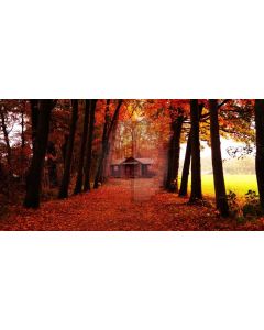 Tree Fallen Leaves House Computer Printed Dance Recital Scenic Backdrop ACP-661