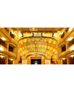 Indoor Gold Arch Light Computer Printed Dance Recital Scenic Backdrop ACP-670