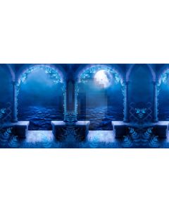 Arch Moon Sea Stone Computer Printed Dance Recital Scenic Backdrop ACP-727